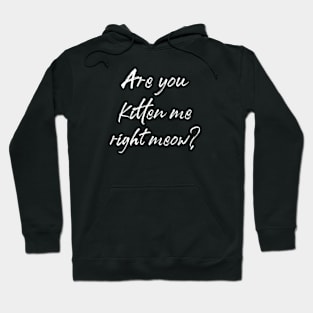 Are you kitten me right meow? Hoodie